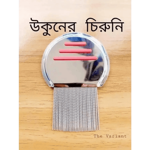 Magic Chinese Comb-উকুন মারার ম্যাজিক চায়নিজ চিরুনী