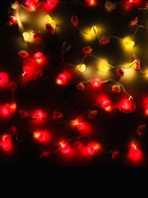 Little Rose String Light