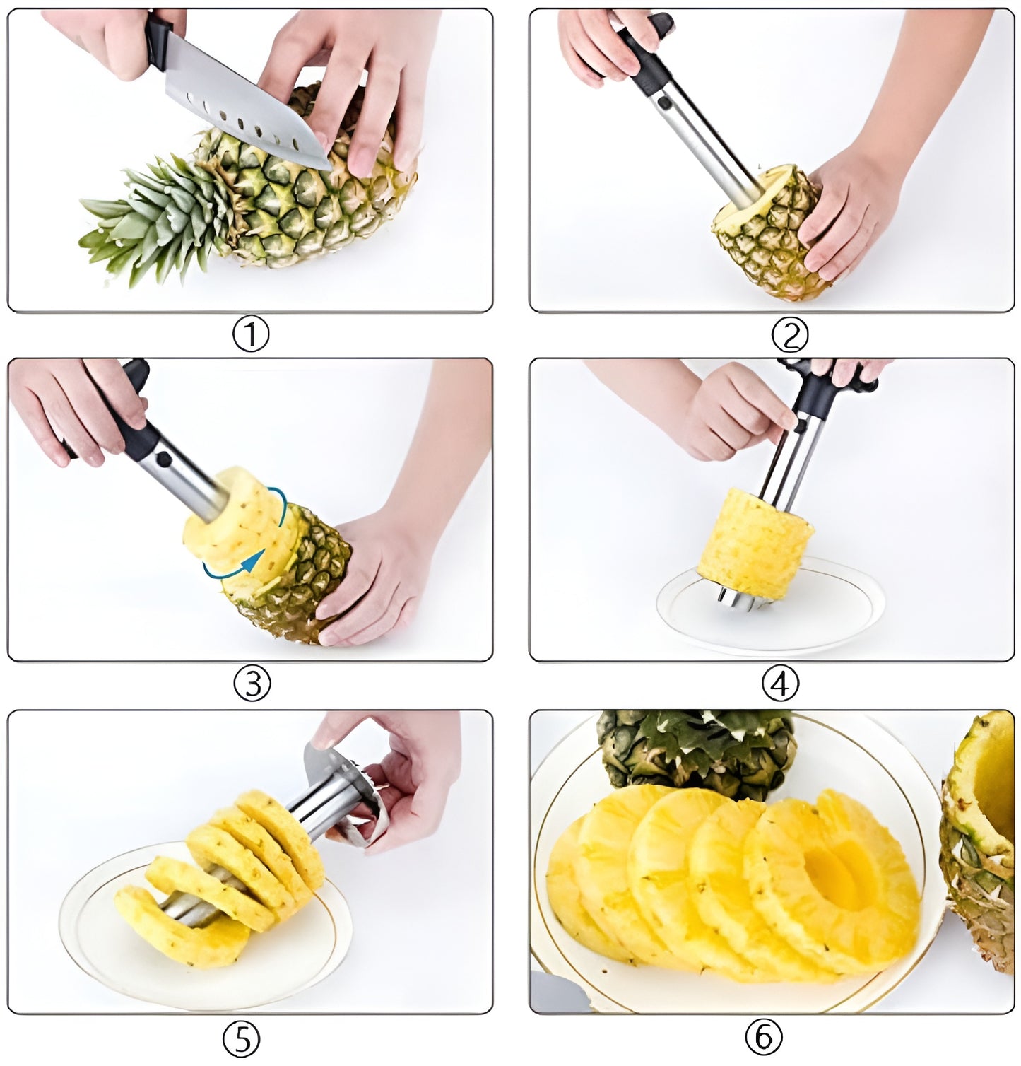 Pineapple Slicer Machine