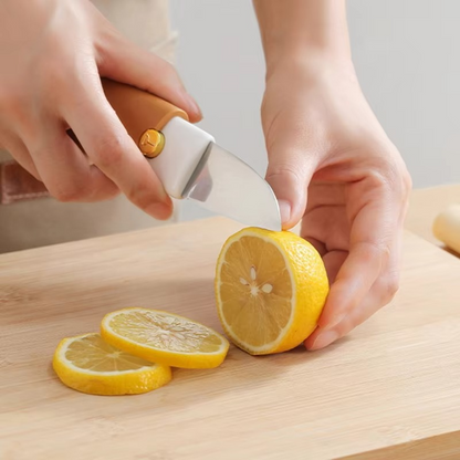 2 in 1 Fruit Knife and Vegetable Peeler