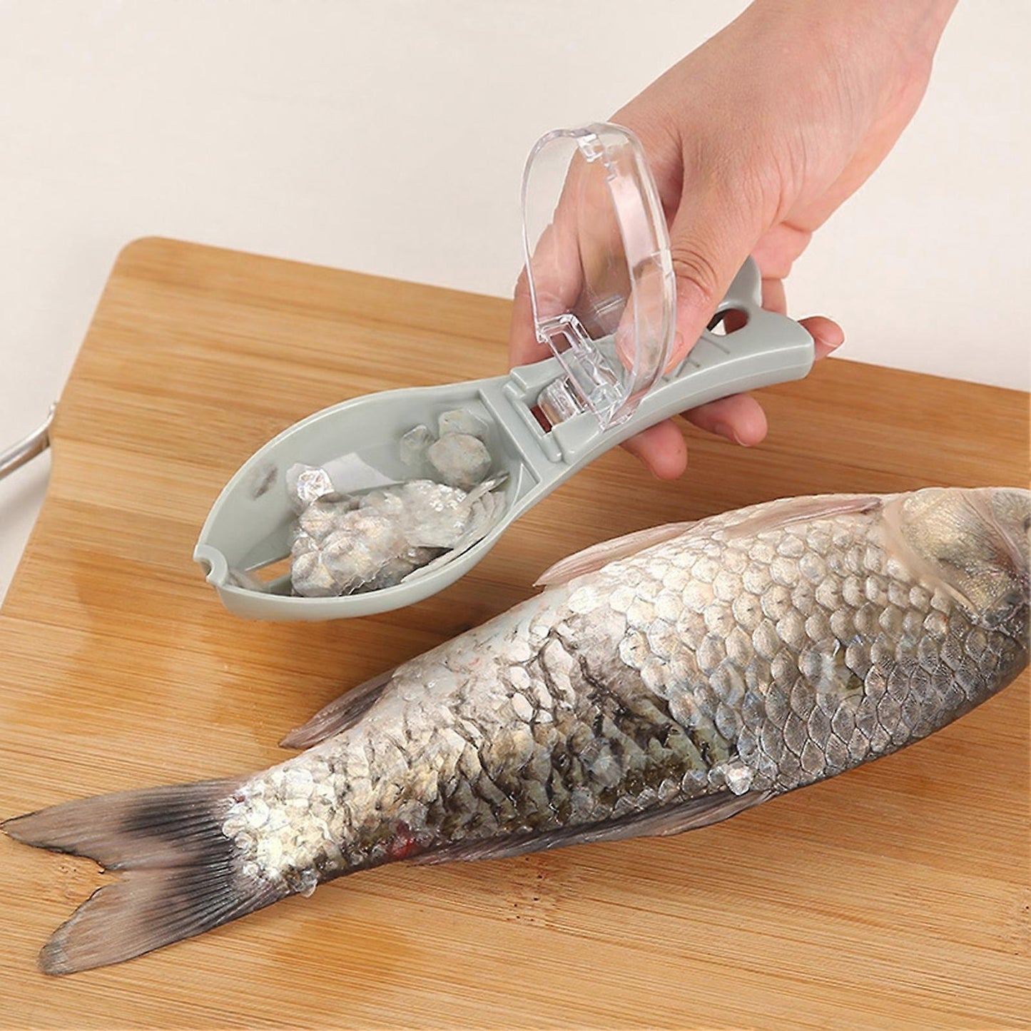 Fish Scales Remover With Cover( ২পিস)